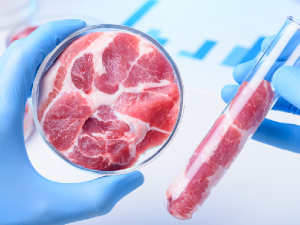 ¿Estás consumiendo proteína de alta calidad?